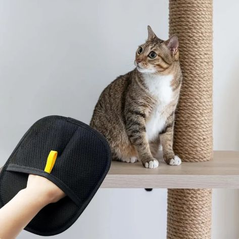 Electrostatic Pet Hair Removal Gloves – Two-Way Bristles for Cats & Dogs