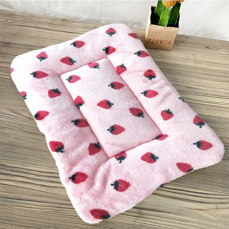 Winter Pet Warm Sleeping Pad – Thick Double-Sided Cushion in Multiple Sizes & Designs