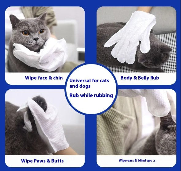 Pet Bath-Free Cleaning Gloves with Wet Wipes – No-Rinse Grooming